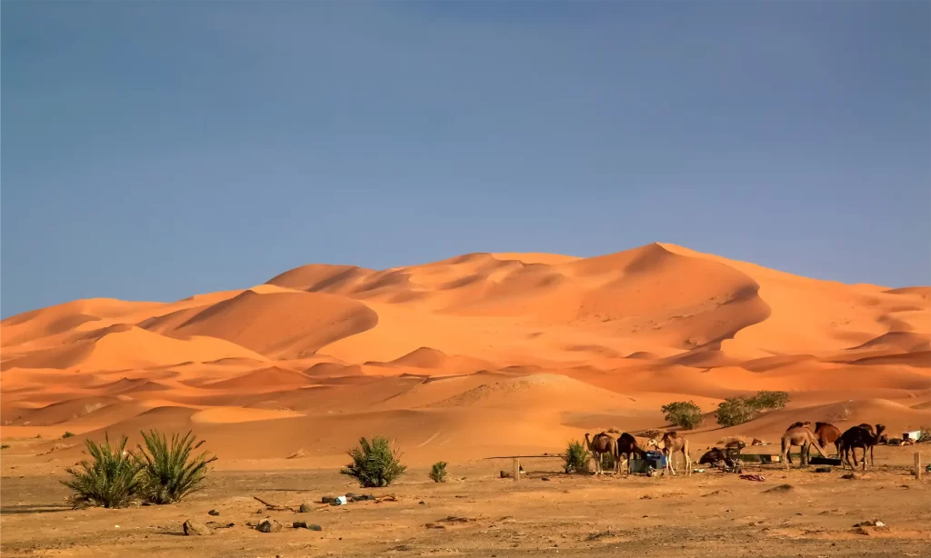 Private Morocco Tours; Luxury Desert Safaris