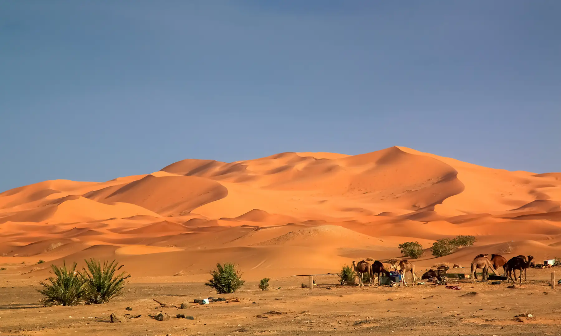 Private Morocco Tours; Luxury Desert Safaris